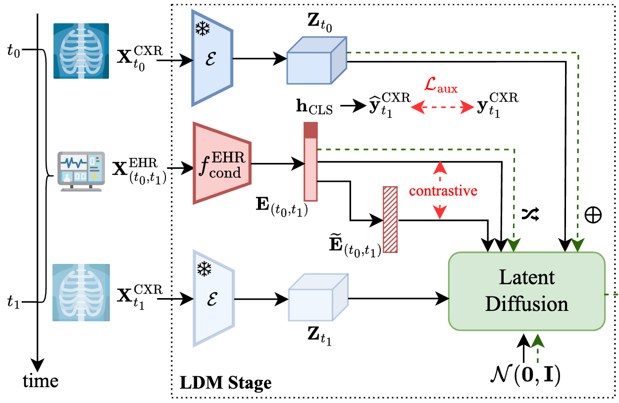 neurips24_ddlcxr.png